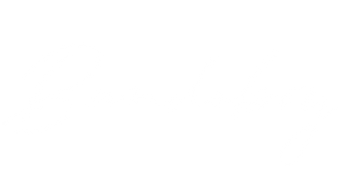 BANDOBOY 